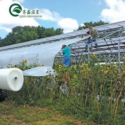Groenten Fruit Bloemen Champignon Huis voor milieuvriendelijke teelt