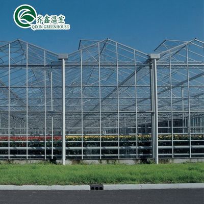 Groenten Vruchten Bloemen Tomaten Kas met schaduwstelsel binnen en buiten