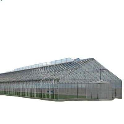 Groenten Fruit Bloemen Champignon Huis voor milieuvriendelijke teelt