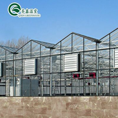 Gegalvaniseerde staalstructuur Venlo Glaskas voor de teelt van groenten Fruit Bloemen