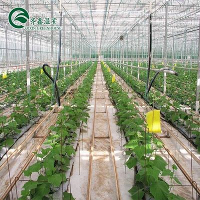Filmbedekking Dubbellaag Hydroponics Grow Kit System voor kassen