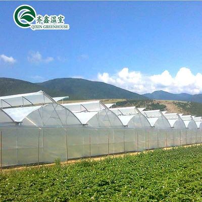 Groentehuis Aquaponics Hydroponic Growing System met koeling en ventilatie opties