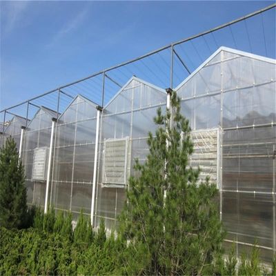 Grote Venlo glazen kas perfect geschikt voor plantengroei behoeften