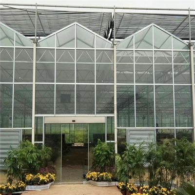 Grote Venlo glazen kas perfect geschikt voor plantengroei behoeften