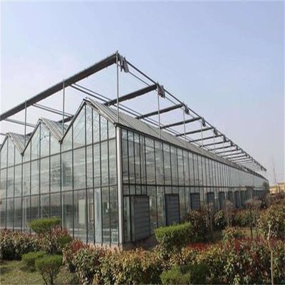 Grote Venlo glazen kas perfect geschikt voor plantengroei behoeften