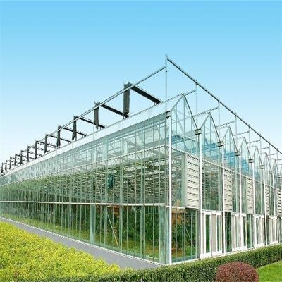 Grote Venlo glazen kas perfect geschikt voor plantengroei behoeften