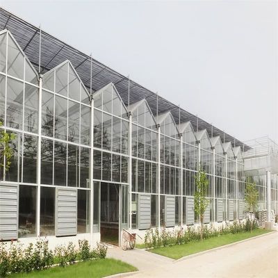 Grote Venlo glazen kas perfect geschikt voor plantengroei behoeften
