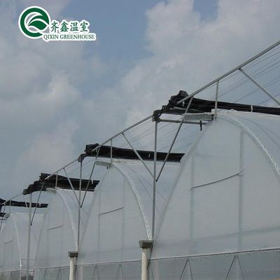 Zuid-Korea Landbouwgreenhouse met Ebb Flow Rolling Bench en binnenschaduwingssysteem