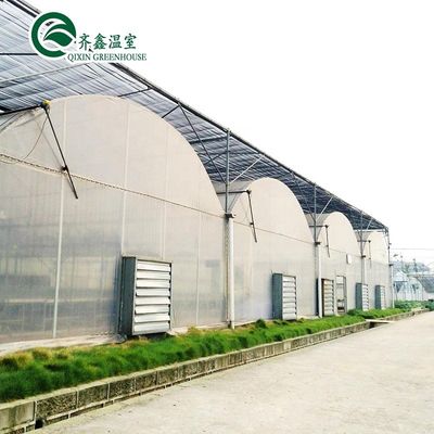 Zuid-Korea Landbouwgreenhouse met Ebb Flow Rolling Bench en binnenschaduwingssysteem