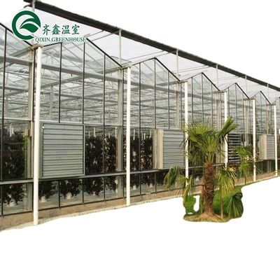 3.8m-9.8m Ridge Height Glass Solar Greenhouse voor klantvereisten