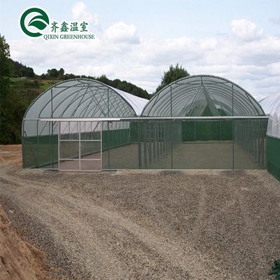 Zuid-Korea Landbouwgreenhouse met Ebb Flow Rolling Bench en binnenschaduwingssysteem
