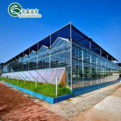 Grote met glas bedekte tuinkasten voor veelzijdige plantenmogelijkheden