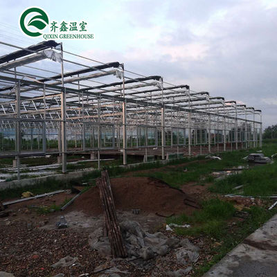 Grote met glas bedekte tuinkasten voor veelzijdige plantenmogelijkheden