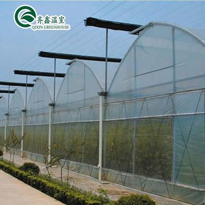 Plastic film bedekte polytunnel kas met hydroponisch systeem en ventilatie