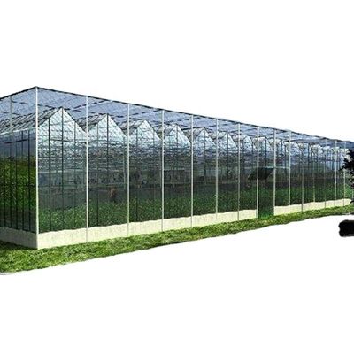 Op maat gemaakte Canada Tunnel kas Tuin Tunnel met glas of PC plaat