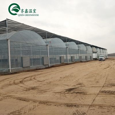 Plastic film bedekte polytunnel kas met hydroponisch systeem en ventilatie