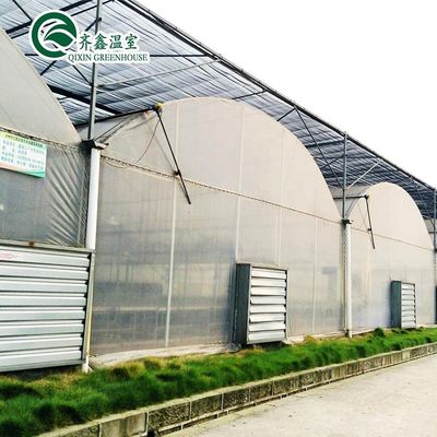 Plastic film bedekte polytunnel kas met hydroponisch systeem en ventilatie