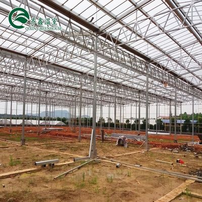 Venlo gegalvaniseerde staalpijp kas met torentuin en optimaal schaduw systeem