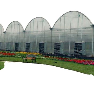 30 x 100 Groentenverbouwingsplaat met overkapping Meervoudige boogkas met PO-dek
