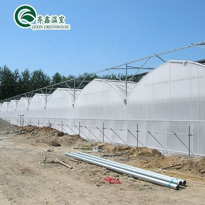 30 x 100 Groentenverbouwingsplaat met overkapping Meervoudige boogkas met PO-dek