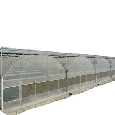 Inwendige schaduwsystemen Champignon kasapparatuur voor groenten, fruit en bloemen