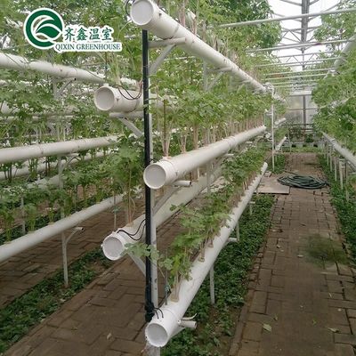 Multi-Span Landbouwgreenhouses Dubbellaag Verticaal Hydroponisch Systeem Upgrade