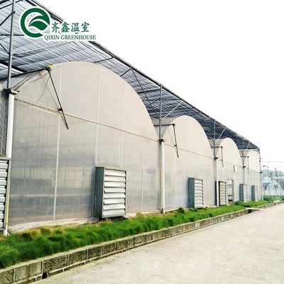 Multi-Span Landbouwgreenhouses Dubbellaag Verticaal Hydroponisch Systeem Upgrade