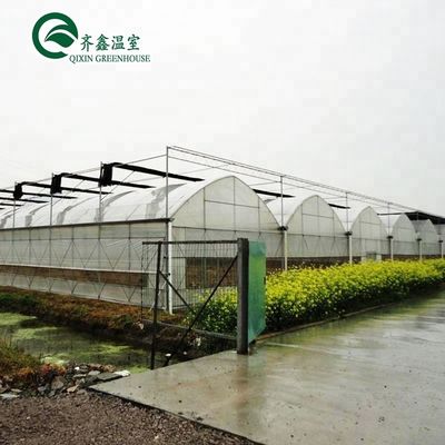 Grote hydroponische pomp voor maximale groei van groenten, fruit en bloemen