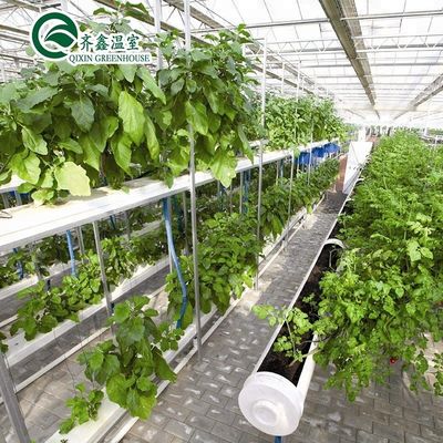 Multi-span landbouwkasten met PO-film die hydroponische binnensystemen opnieuw definiëren