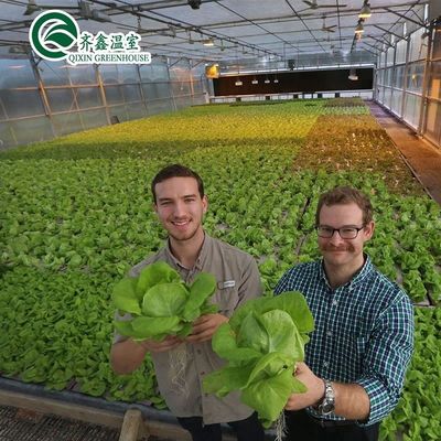 Multi-span landbouwkasten met PO-film die hydroponische binnensystemen opnieuw definiëren