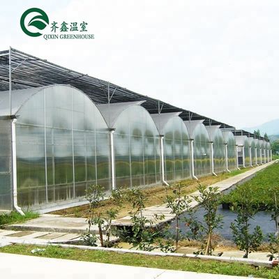 Grote hydroponische pomp voor maximale groei van groenten, fruit en bloemen