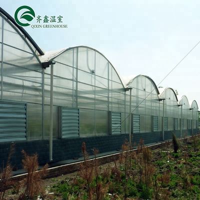 Multi-span landbouwkasten met PO-film die hydroponische binnensystemen opnieuw definiëren
