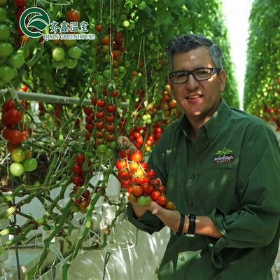 Grote hydroponische pomp voor maximale groei van groenten, fruit en bloemen