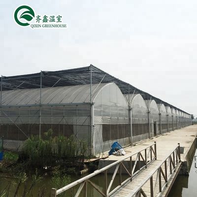 Grote hydroponische pomp voor maximale groei van groenten, fruit en bloemen