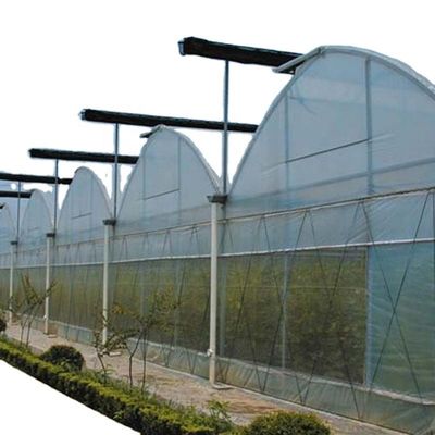 Inwendige schaduwsystemen Champignon kasapparatuur voor groenten, fruit en bloemen