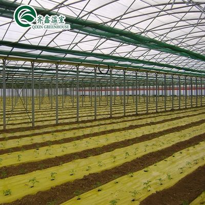 Grootschalige landbouwcontainer met meervoudige landbouwkasten
