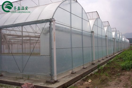 Doppellagig groenhuis voor de teelt van groenten en bloemen