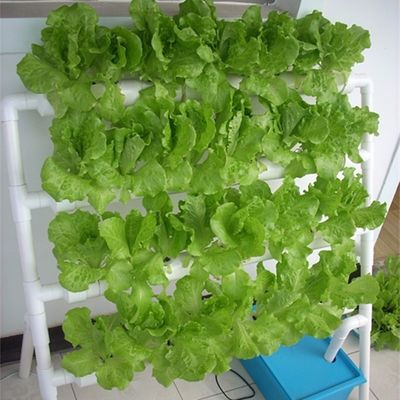 PO Film Dubbellaag Hydroponische Container voor superieure plantengroei resultaten