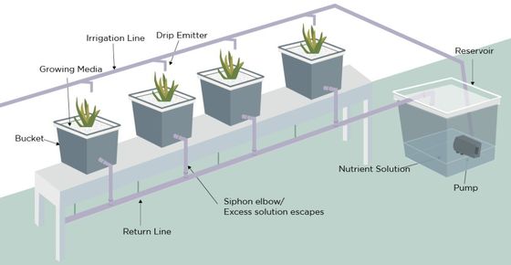 PO De ultieme oplossing voor verticale landbouw in landbouwkasten met meerdere openingen
