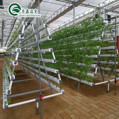 PO Film Dubbellaag Hydroponische Container voor superieure plantengroei resultaten