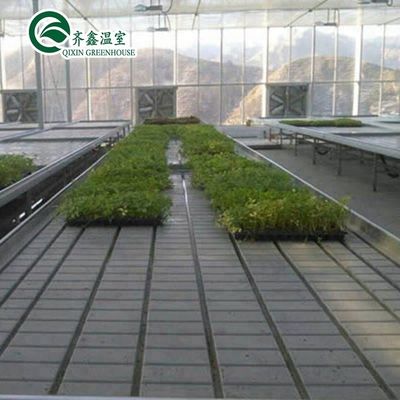 Multi-Span Landbouwgreenhouses CO2-generator voor kassen