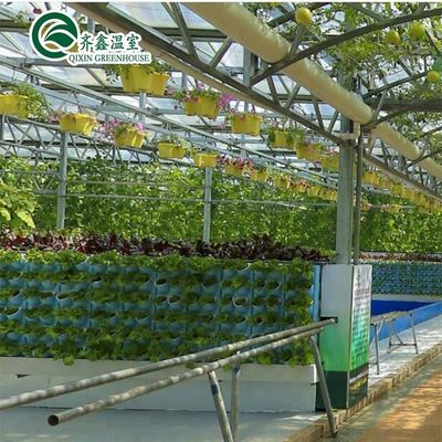 Multi-Span Landbouwgreenhouses CO2-generator voor kassen
