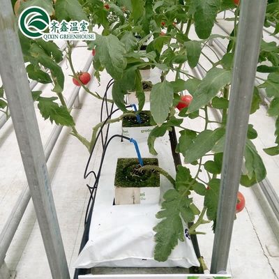 PO-filmbeschermde hydroponische indoorgroei-systemen voor kassen