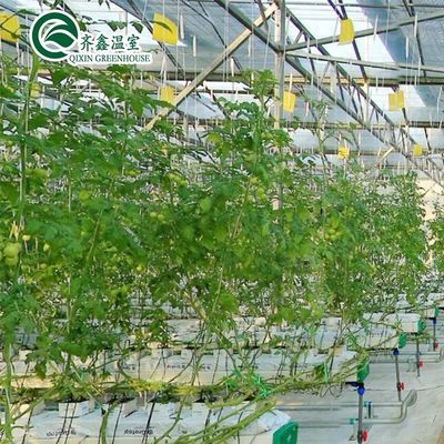 PO-filmbeschermde hydroponische indoorgroei-systemen voor kassen