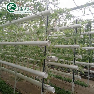 Filmbedekking Dubbellaag Hydroponics Grow Kit System voor kassen