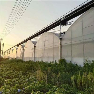 PO Groentehuis met één laag voor de landbouw