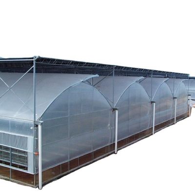 Multi-span kasfilm op maat voor UV-bescherming en optimale groeicondities