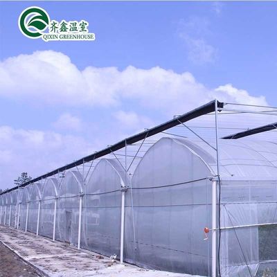 Multi-span kasfilm op maat voor UV-bescherming en optimale groeicondities