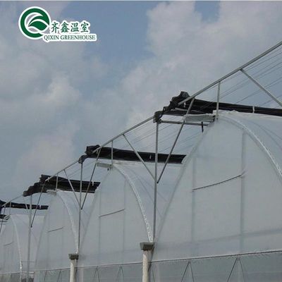 Multi-span kasfilm op maat voor UV-bescherming en optimale groeicondities