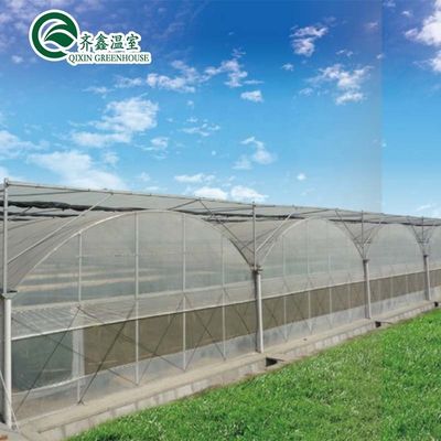 Multi-span kasfilm op maat voor UV-bescherming en optimale groeicondities